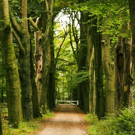 Vos Hulshorst