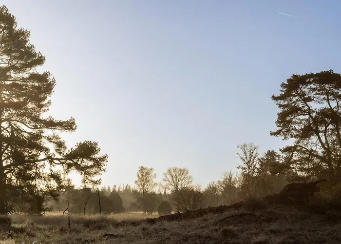 Vos Dağ evi Hulshorst